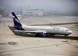 «Аэрофлот» внесет изменения в правила перевозки животных
